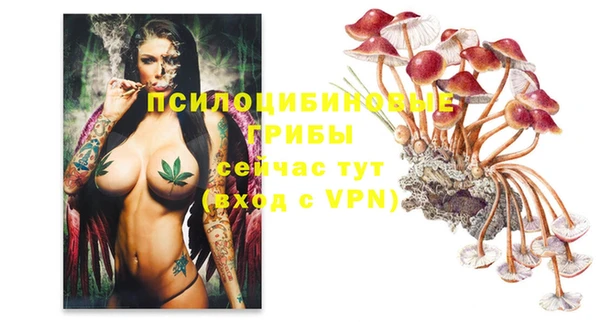 ешки Абаза