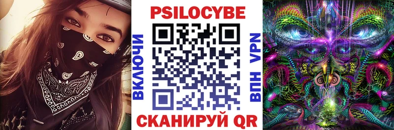 Псилоцибиновые грибы Psilocybine cubensis  купить закладку  Приволжский 